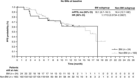 Figure 1. PFS. Kaplan–Meier analyses in the BM and non-BM subgroups. The tick marks in each panel indicate patient data that were censored.
