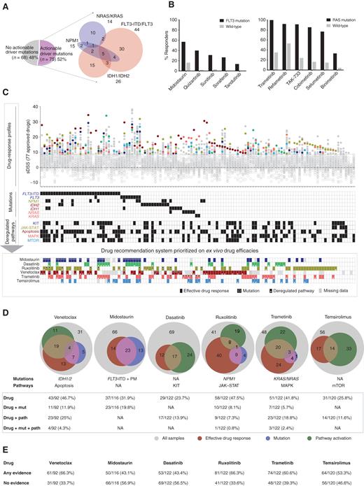 Figure 5. Genomic and transcriptomics-based prediction of ex vivo drug efficacies. A, The division of 143 AML patient samples in actionable and nonactionable subsets. B, Ex vivo drug sensitivity of FLT3i in FLT3-ITD and point mutation–positive samples and of MEKi in KRAS/NRAS mutation–positive samples. C, Samples with complete molecular profiling and drug-response data ordered as per actionable driver mutations and subsequently nonactionable mutations. Selective drug responses for FDA/EMA-approved 77 drugs are depicted on the Y-axis and individual patient samples on the X-axis, where ineffective drugs below sDSS 8.7 were marked with gray rings. The common effective drugs were highlighted for integration with mutation and pathway activation. The bottom panel illustrates integrated ex vivo efficacy and the presence of respective mutations and pathways for each sample. D, Statistics of patient samples showing evidence of drug sensitivity, the presence of mutation, and pathway activation for key targeted drugs in AML including the BCL2i venetoclax, FLT3i midostaurin, TKi dasatinib, JAKi ruxolitinib, MEKi trametinib, and JAKi ruxolitinib. E, The drug-wise percentage of samples showing any evidence and no evidence from effective drug response, mutation, and/or pathway upregulation.