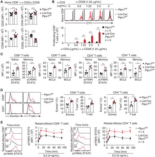 Figure 4. PTP1B deletion enhances T-cell activation, proliferation, survival, and STAT5 signaling. A, Naïve (CD44loCD62Lhi) CD8+ T cells from Ptpn1fl/fl and Lck-Cre;Ptpn1fl/fl were stimulated with plate-bound α-CD3 (2.5 μg/mL) and α-CD28 (1.25 μg/mL) for 48 hours and CD25, CD44, CD69, and CD62L levels determined by flow cytometry. B, CTV-labeled naïve CD8+ T cells from Ptpn1fl/fl and Lck-Cre;Ptpn1fl/fl mice were stimulated with the indicated concentrations of plate-bound α-CD3 plus α-CD28 (1.25 μg/mL) for 72 hours and T-cell proliferation (CTV dilution) determined by flow cytometry. C, Basal intracellular p-STAT5 and BCL2 levels were assessed by flow cytometry in naïve (CD44lo) and memory (CD44hi) CD4+ and CD8+ T cells from Ptpn1fl/fl and Lck-Cre;Ptpn1fl/fl mice. D, Intracellular Eomes and T-bet protein levels were assessed by flow cytometry in CD8+ and CD4+ T cells from Ptpn1fl/fl and Lck-Cre;Ptpn1fl/fl mice. E, In vitro–generated rested effector CD8+ or CD4+ T cells were stimulated with IL2 (5 ng/mL) for the indicated times and intracellular STAT5 Y694 phosphorylation (p-STAT5) assessed by flow cytometry. Representative results (means ± SEM) from at least two independent experiments are shown. Significance in A–D was determined using a two-tailed Mann–Whitney U test and in E using a two-way ANOVA test. *, P < 0.05; **, P < 0.01; ***, P < 0.001.