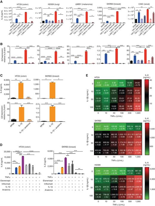TNFα and IL-1β induce IL-8 expression on a panel of human tumor cell lines. A, The indicated human tumor cell lines representing different prevalent malignant diseases were incubated for 72 hours in the presence of recombinant TNFα at the indicated concentrations with or without the addition of etanercept or infliximab. IL-8 concentrations in the culture supernatants are shown (mean ± SD). B, mRNA expression by real-time RT-PCR in tumor cells retrieved from the experimental conditions color-coded as in A. C, Similar experiments as in A in the presence of rIL-1β blocked as indicated by recombinant sIL-1Rα (anakinra) determining the concentration of IL-8 in the tissue culture supernatant (top) or IL8 mRNA expression in the tumor cell lines (bottom). D, HT29 or SKRB3 cells were stimulated for 72 hours with the indicated stimuli to test the combination of TNFα and IL-1β to induce IL-8 production and the interference by infliximab, etanercept, and anakinra. E, Dose–response analysis testing different single-agent or combined concentrations of TNFα and IL-1β to induce IL-8 secretion as tested on the HT29 (colon cancer), SKRB3 (breast cancer), and H2009 (lung cancer) cell lines. Results are presented as ng/mL (mean ± SD) and indicate additive effects as a heat map. All experiments were repeated at least three times. The significance is represented with asterisks: *, P < 0.05; **, P < 0.01; ***, P < 0.001; ****, P < 0.0001.