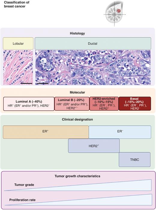 The Great Immune Escape: Understanding the Divergent Immune Response in ...