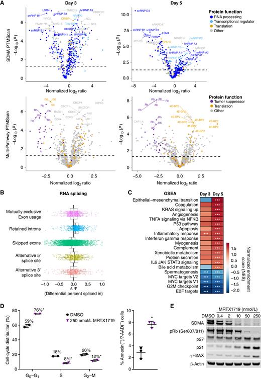 Figure 3. MRTX1719 treatment disrupts PRMT5-regulated processes in MTAP del cancer cells. A, Volcano plots of posttranslational modifications of trypsin-digested peptides from LU99 cells treated for 3 or 5 days with 1 μmol/L MRTX1719 vs. DMSO as measured by LC-MS/MS following antibody enrichment using the SDMA PTMScan kit (top) or the Multi-Pathway PTMScan kit (bottom) that includes phosphorylation (Cell Signaling Technology). B, RNA-seq data were generated from LU99 cells treated with MRTX1719 or DMSO for 3 days, and transcripts were analyzed for alternative RNA splicing using rMATS. Transcripts with retained introns were increased in MRTX1719-treated vs. DMSO-treated cells. C, GSEA was performed on RNA-seq data from 3- and 5-day MRTX1719-treated LU99 cells compared with DMSO-treated. ***, FDR <0.25. D, LU99 cells were treated with 250 nmol/L MRTX1719 for 3 days and analyzed on a Guava flow cytometer. Cell-cycle distribution analysis (left) was performed, and apoptotic cells were analyzed for surface Annexin V–positive, 7-AAD–negative staining (right). Summary data from 2 or 3 independent experiments are presented as the mean ± SD. Statistics were determined using a two-tailed Student t test with significance indicated (*, P < 0.05). E, Cell lysates from LU99 cells treated for 3 days with MRTX1719 and analyzed for selected protein markers by Western blot.