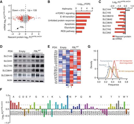 A Dynamic rRNA Ribomethylome Drives Stemness in Acute Myeloid Leukemia ...