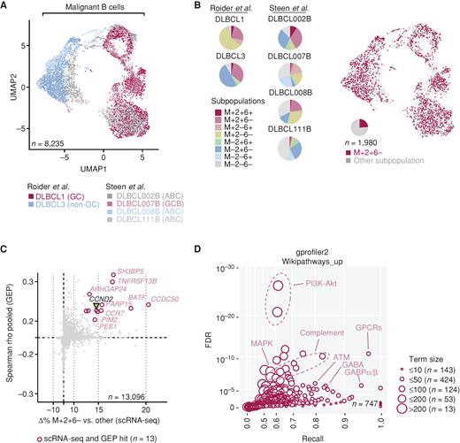 Figure 6. Evaluation of M+2+6− cells in scRNA-seq data sets of DLBCL. A, Uniform manifold approximation and projection (UMAP) of malignant B cells from the Roider and Steen cohorts. B, Proportion of subpopulations across samples and annotation of M+2+6− cells in UMAP. C, Correlation of genes enriched in the M+2+6− subpopulation as evaluated by scRNA-seq with hits from the bulk GEP cohorts (Fig. 5E). CCND2 is highlighted and is among the concordant hits (see also Supplementary Table S13). D, WikiPathways terms enrichment among genes positively associated with M+2+6− cells. Both axes in C and D are scaled exponentially for clarity (see also Supplementary Table S14).