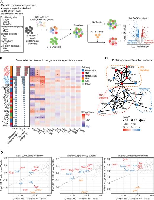 Addressing Tumor Heterogeneity by Sensitizing Resistant Cancer Cells to ...