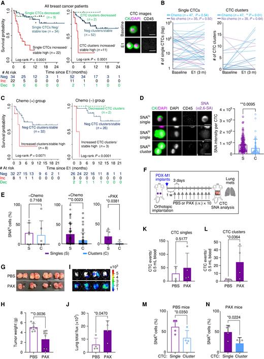 Dynamic Glycoprotein Hyposialylation Promotes Chemotherapy Evasion and ...