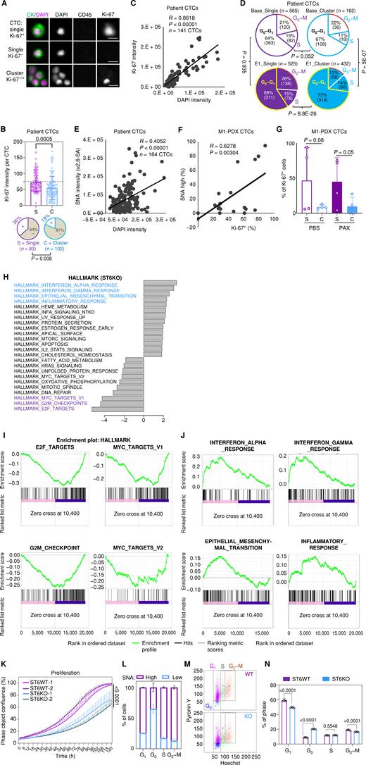 Dynamic Glycoprotein Hyposialylation Promotes Chemotherapy Evasion and