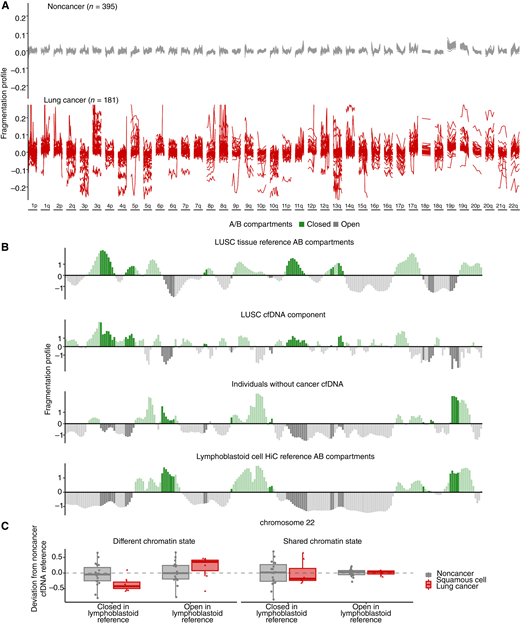 Genome-wide fragmentation profiles are altered in patients with cancer and reflect underlying chromatin structure. A, The fragmentation profile (ratio of short to long cfDNA fragments in 5 Mb bins) across the genome was evaluated in the classifier training plasma samples of lung cancer (n = 181) and noncancer individuals (n = 395). The noncancer individuals had similar fragmentation profiles, whereas patients with lung cancer exhibited significant variation. B, Comparison of cfDNA profiles with Hi-C A/B chromatin compartment reference data from lung cancer tissue or peripheral blood cells. Track 1 shows A/B compartments extracted from LUSC cancer tissue (48). Track 2 shows a median lung cancer component extracted from the LUSC plasma samples of 7 patients with lung cancer from the classifier training set with high tumor fraction by ichorCNA (49). The 7 LUSC cases with high ichorCNA have values of 0.051, 0.439, 0.230, 0.259 0.439, 0.167, and 0.057. Track 3 shows the median profile for 10 noncancer plasma samples from the training set. Track 4 shows A/B compartments for lymphoblast cells (48). These four tracks show chromosome 22 as an example, with darker shading indicating informative regions of the genome where the two reference tracks differ in domain (open/closed). C, 100-kb regions were selected using the reference LUSC and lymphoblast A/B tracks as having the same chromatin state or opposite chromatin state. Within these regions, the deviation of the fragmentation value from a noncancer cfDNA reference (n = 10) was plotted per region per individual (noncancer n = 20, LUSC n = 7). Values around 0 have little variation from the noncancer reference. Negative values indicate a region has a more open chromatin state than the reference and positive values indicate a region has a more closed chromatin state than the reference. These data suggest that although cfDNA profiles of healthy individuals reflect the chromatin structure of blood cells, those of patients with lung cancer represent a mixture of cfDNA patterns of chromatin compartments from lung cancer as well as blood cells.