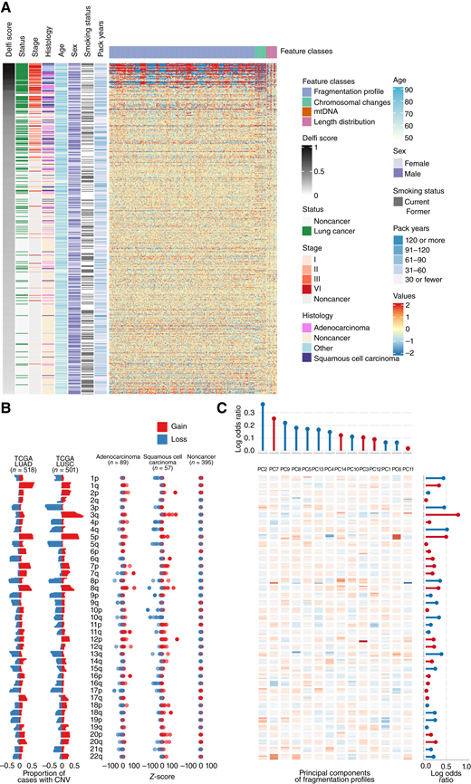 High-dimensional fragmentation features reflect lung cancer biology and are incorporated in the machine learning classifier. A, Heatmap representation of the deviation of cfDNA fragmentation features across the genome for the classifier training set with lung cancer or noncancer individuals compared with the mean of classifier training noncancer individuals. Each row represents a sample, whereas columns show individual genomic features. The cross-validated DELFI score and clinical characteristics are indicated to the left of the fragmentation deviation heatmap. B, Left, TCGA-derived observations of chromosomal arm gains (red) and losses (blue) in lung adenocarcinoma (LUAD; n = 518) and squamous cell cancer tissues (LUSC; n = 501). Right, the observed chromosome arm gains (red) and losses (blue) in the classifier training individuals separated by histology. C, A heatmap representation of the principal component eigenvectors of the fragmentation profile features. Regression coefficients from the final classifier indicating how the principal components of the fragmentation profiles and z-scores of the chromosomal arms were combined are provided in the top and right margins of the heatmap, respectively. Positive values for the coefficients are represented in red, whereas negative values are represented in blue. Agreement across copy number chromosomal gains and losses in TCGA lung cancers, observed z-scores in the cfDNA of patients with lung cancer, and chromosome arm model coefficients reflect biologic consistency between chromosomal changes in lung cancer, cfDNA fragmentation profiles, and classifier features.