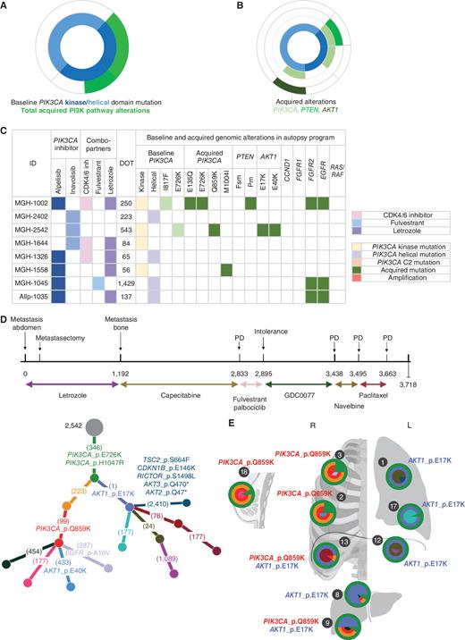 Allosteric PI3Kα Inhibition Overcomes On-target Resistance to ...