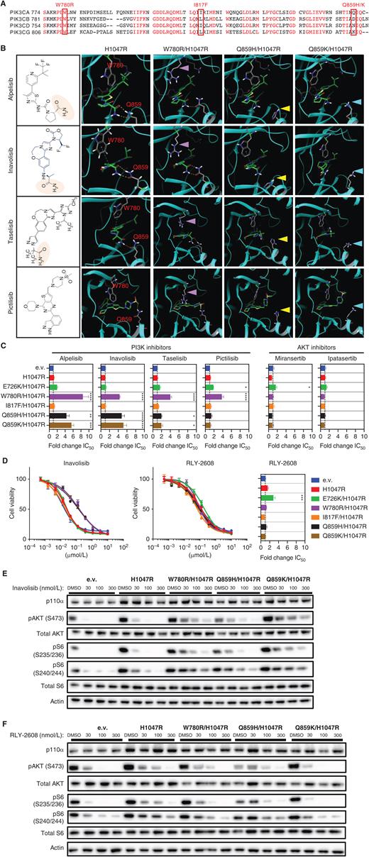 Allosteric PI3Kα Inhibition Overcomes On-target Resistance to ...