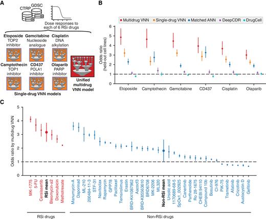 Figure 2. Performance of RSi drug response models. A, Schematic representation of the VNN models implemented in this study for single-drug and multidrug scenarios. B, Accuracy (odds ratio) of drug response prediction for each of the initial six RSi agents. Multidrug and single-drug VNNs (red, orange) are compared against black-box artificial neural networks with a matched number of parameters and layers (ANN, blue), DeepCDR (purple), and DrugCell (cyan). Error bars show the confidence interval of the odds ratio for each model. Performance was assessed on drug responses of held-out cell lines not seen during training. C, Accuracy (odds ratio) of drug response prediction by the multidrug model, evaluated for additional RSi drugs (n = 6, red) and non-RSi drugs (n = 33, blue), none of which were seen during training. Error bars show standard deviation of the odds ratio for each drug. Performance was assessed using held-out cell lines. Statistical comparisons were conducted with the Mann–Whitney U test.