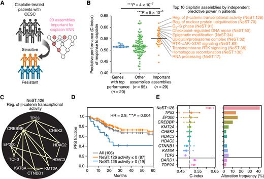 Figure 6. Protein assemblies as biomarkers of cisplatin outcome. A, Evaluation of individual assemblies for prediction of responses to cisplatin in patients with CESC. B, Swarmplot showing the predictive performance (C-index) of genes and assemblies in response to cisplatin in patients with CESC. Assemblies are grouped into the 29 important for cisplatin response in cell lines (right) vs. all other assemblies (middle). The top 10 predictive assemblies in patients with CESC are listed in orange. C, Interaction network of proteins in NeST:126. Edges denote Integrated Association Stringency (IAS) scores used to assemble the NeST map (36). D, Kaplan–Meier survival curves of PFS for cisplatin-treated patients with CESC stratified by in silico activity of NeST:126. E, Left, predictive performance (C-index) of NeST:126 assembly (top row) and its genes (all other rows except BARD1 and TOP2A) for prediction of CESC cisplatin response. Right, corresponding frequency at which the assembly or its genes are genetically altered in patients with CESC. Large circles indicate the mean C-index over five models from cross-validation. Error bars denote 95% confidence intervals (CI). C-index and alteration frequency of the top two predictive genes BARD1 and TOP2A that are not members of NeST:126 are shown at the bottom, separately. ***, P < 0.01; P value by Mann–Whitney U test and log-rank test.
