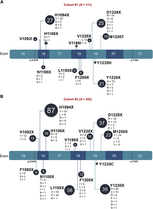 Oncogenic/likely oncogenic MET TKD mutations detected in pan-cancer cohorts. A, Lollipop plot of the oncogenic/likely oncogenic MET TKD mutations according to OncoKB in cohort #1 (N = 111 MET TKD mutations in 105 unique patients). B, Lollipop plot of the oncogenic/likely oncogenic MET TKD mutations according to OncoKB in cohort #2 (N = 302 MET TKD mutations in 300 unique patients).