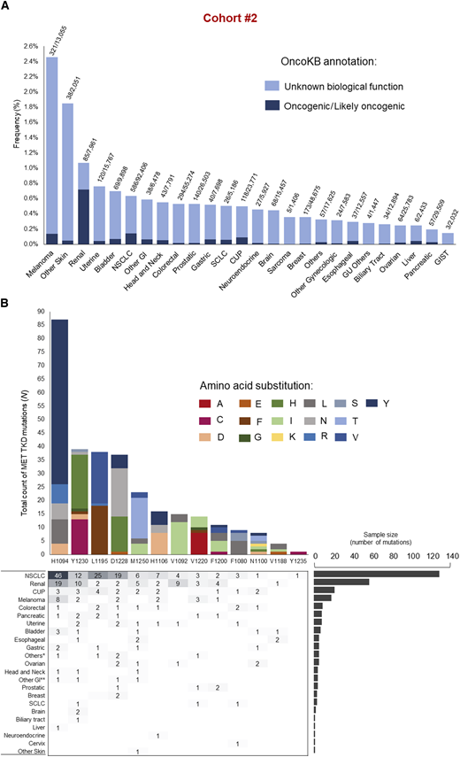 Type and frequency of MET TKD mutations across cancer types in cohort #2. A, Frequency of MET TKD mutations in various cancer types in cohort #2 according to OncoKB annotation; the numbers above each bar indicate the number of cases with MET TKD mutations (regardless of OncoKB annotation) out of the total of cases of each cancer type. B, Detailed oncogenic/likely oncogenic MET TKD mutations (N = 302 MET TKD mutations in 300 unique patients) according to cancer type in cohort #2. GI, gastrointestinal cancers; SCLC, small cell lung cancer; CUP, cancer of unknown primary; GU, genitourinary; GIST, gastrointestinal stromal tumors. *Others: endocrine tumor (N = 1), lung underspecified (N = 2), salivary gland carcinoma (N = 1), adenoid cystic carcinoma (N = 1); **Other GI: small intestine (N = 3), anus (N = 1).