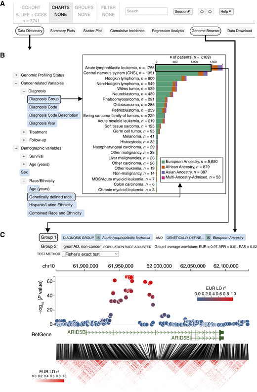 Exploration of phenotypic and genetic data on the portal. A, Navigation tabs with the “CHARTS” tab selected. The data dictionary and genome browser buttons are highlighted. B, Hierarchical organization of the data dictionary, which contains branches (+/− gray buttons) and variables (blue buttons). Selection of two variables (“Diagnosis Group” and “Genetically defined race”) creates a stratified bar chart. C, Genome browser with tracks for genetic variants, gene models, and LD values at the ARID5B locus. In the variants track, variants are color-coded according to their LD values relative to the selected variant (red box). Variants are also plotted according to their −log10(P value) computed by the group comparison shown at the top. In this comparison, allele frequencies of variants are compared between group 1 (survivors of European ancestry diagnosed with ALL) and group 2 (gnomAD noncancer cohort) using the Fisher’s Exact Test. Note that group 1 is specified using dictionary variables shown in B. AFR, African ancestry; EAS, Asian ancestry; EUR, European ancestry.
