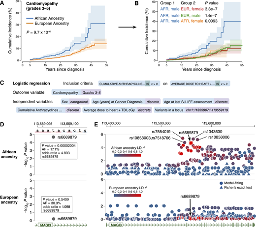 Comparative analysis of cardiomyopathy between African and European ancestries. A, Cumulative incidence analysis of cardiomyopathy (grades 3–5) in SJLIFE survivors stratified by their genetically defined ancestry. Survivors of Asian ancestry and Multi-Ancestry-Admixed were excluded due to absence of cardiomyopathy events. P value was computed using Gray’s test. B, Same analysis as in A, except that survivors were divided into four groups defined by two variables: genetically defined ancestry and sex. C, Genetic association analysis of cardiomyopathy. A logistic regression analysis was set up on the portal with the same outcome variable, independent variables, and inclusion criteria that were used by ref. 28. For the genetic variable (“Variants in a locus”), its genomic region was restricted to that of the rs6689879 variant. D, Genetic association analysis results. Top, results for survivors of African ancestry. Genome browser view of the rs6689879 variant, which was plotted according to its −log10(P value) computed by the regression analysis. Hovering over the variant on the portal displays a panel of regression statistics for the variant. Bottom, results for survivors of European ancestry. E, Zoomed out view of the region from D, showing the entire MAGI3 locus. Top, Zoomed out view for survivors of African ancestry. The same regression analysis was performed separately for each variant within the region. Variants are color-coded according to their LD values relative to the rs6689879 variant (red box). Circle-shaped variants are common variants (effect allele frequency ≥5%) analyzed by standard regression model-fitting. Triangle-shaped variants are rare variants analyzed by Fisher’s exact test. Labeled variants are those that were selected for haplotype analysis. Bottom, Zoomed out view for survivors of European ancestry. Variants are color-coded in the same way as for survivors of African ancestry. AFR, African ancestry; EUR, European ancestry.