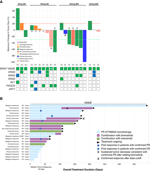experiments vivo Efficacy in patients with BRAFV600E/Class I-mutant cancer. A, A waterfall plot of the maximum change in tumor size by treatment, dose, and tumor. Preliminary summary of select cooccurring mutations (known activating for oncogenes, known inactivating for tumor suppressor genes, green—tumor, blue—ctDNA) is shown at the bottom (see Supplementary Table S5). B, A swimmer plot representing the overall treatment duration. Two patients are not shown in A due to the absence of a target lesion (n = 1) or the absence of postbaseline imaging assessment (n = 1). + indicates patient with BRAFV600E+ thyroid cancer who achieved sustained tumor decrease consistent with a confirmed PR with the addition of binimetinib, after progression on PF-07799933 monotherapy. # indicates patient with BRAFV600E+ primary brain tumor who achieved a confirmed PR after the data cutoff. Note: response categories are per RECIST 1.1 except for primary brain tumor, which is categorized by RANO. B, binimetinib combination; C, cetuximab combination; CR, complete response; PR, partial response; SD, stable disease; PD, progressive disease; NE, not evaluable; NCNP, non-CR/non-PD; p48, BRAF p48 splice variant; gain, BRAF copy number gain.
