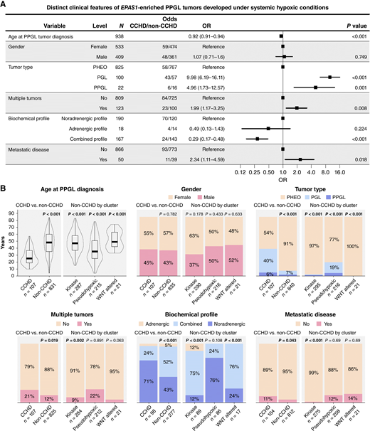 Hypoxic impact in PPGL tumor development: clinical features comparison of patients with CCHD-PPGL and without CCHD-PPGL (non–CCHD-PPGL). A, Univariate regression model (odds ratio, OR) of patients with PPGL and CCHD-PPGL. B, Representation of clinical variables in patients with PPGL and CCHD-PPGL.