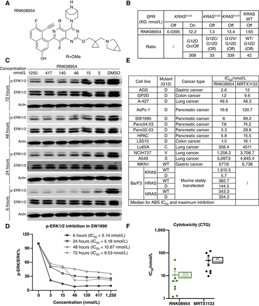 Preclinical Characterization and Clinical Activity of RNK08954, a ...