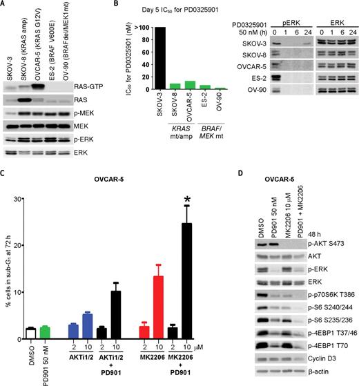 Figure 4. RAS/RAF pathway-activated ovarian cancer cells exhibit MEK dependence and synergistic induction of apoptosis with combined MEK/AKT inhibition. A, levels of activated RAS (RAS-GTP) were determined by pulldown of GTP-bound RAS using recombinant RAS binding domain of RAF. Input lysates were also immunoblotted as shown. B, IC50 values for the allosteric inhibitor of MEK1/2, PD0325901 (PD901) were calculated after treatment with 0 to 500 nM of inhibitor for 5 days. Immunoblots for p-ERK and ERK after treatment with PD901 (50 nM) for 0 to 24 hours. C, induction of cell death after combined treatment with 50 nM PD901 and increasing doses of either AKTi1/2 or MK2206 (2 or 10 μM) was measured by FACS analysis at 72 hours in OVCAR-5 cells. Maximal cell death was induced after cotreatment with PD901 and MK2206 (asterisk indicates P ≤ 0.0287 versus all other treatments, n ≥ 3). D, OVCAR-5 cells were treated with PD901 (50 nM) or MK2206 (10 μM) alone or in combination for 48 hours and lysates were immunoblotted.