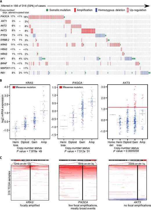 Figure 5. The ovarian cancer cell lines modestly recapitulate the spectrum of mutations found in primary ovarian tumors. A, heat map showing the concordance of PI3K and RAS pathway alterations and RB1 deletions/mutations for 316 serous ovarian cancer TCGA samples. Amplifications are indicated in solid red, homozygous deletions in solid blue, and somatic mutations in green. Overexpression of AKT3 is indicated by a hollow, red rectangle. B, log2 mRNA expression was assessed as a function of GISTIC-based DNA copy number calls (homozygous deletion, hemizygous loss, diploid, gain, high-level amplification) across all samples. P values were generated using analysis of variances. The red line in the AKT3 box plot indicates the cutoff for samples with significant mRNA overexpression (red “x”) as defined by > 2 standard deviations of the mean of the samples that are diploid/copy-neutral for AKT3. C, copy number heat maps demonstrating the focality of the amplifications encompassing the KRAS, PIK3CA, and AKT3 loci. X-axis illustrates the copy number status (red: amplification, white: copy neutral, blue: deletion) of the indicated gene for each of the 316 TCGA samples listed on y-axis.