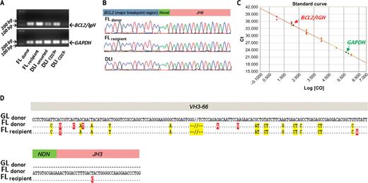 Figure 2. Follicular lymphomas in the donor and recipient are derived from a common ancestor. A, PCR amplification of IGH/BCL2 from genomic DNA of both follicular lymphomas (FL), donor lymphocyte infusion (DLI), or flow-sorted donor lymphocyte infusions for CD19-positive and CD19-negative populations. Amplification of GAPDH DNA is shown as a control. B, identical BCL2/IGH rearrangements amplified from genomic DNA from both lymphomas and donor lymphocyte infusions. C, quantitative PCR with primer sets and probes for the patient-specific BCL2/IGH junction or GAPDH. Standard curves were generated from cloned BCL2/IGH (red) and GAPDH (green) PCR products. Genomic DNA of the donor lymphocyte infusions was tested in triplicate and results were plotted against the standard curves. D, the same IGH rearrangement was amplified from both lymphomas. Germline (GL) VH3–66*4 was amplified from the donor's buccal swab and is shown for comparison. Mismatches that are shared between both lymphomas are in yellow. Mismatches unique to a single lymphoma are in red. −//− indicates a small deletion; NDN indicates nontemplated nucleotides flanking DH sequence.