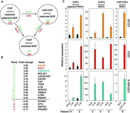 Figure 2. Chemokines are the most highly upregulated genes in CAFs, induced CAFs (iCAF), and miR-CAFs. A, comparison of genes upregulated (green) and downregulated (red) in patient-derived CAFs [compared with matched adjacent NOFs (aNOF)], induced CAFs derived from a 7-day coculture of NOFs with HeyA8 cells (compared with matched NOFs) and miR-CAFs 2 days after triple transfection (compared with matched NOFs). B, ranked list of genes found to be up- (green) and downregulated (red) in CAFs, induced CAFs, and miR-CAFs. C, qRT-PCR to assess upregulation of the 3 highest upregulated chemokines for each array analysis. Error bars represent SD of a triplicate experiment.