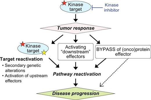 Figure 1. Mechanisms of acquired resistance to kinase inhibitors. Kinase inhibitors are effective clinical therapies in subsets of cancers, but resistance inevitably emerges. These resistance mechanisms can lead to reactivation of the target (i.e., through a secondary mutation), activation of upstream or downstream effectors, and/or activation of a bypass oncoprotein. All of these lead to reactivation of the critical signaling pathway for the specific kinase and clinically to cancer progression.