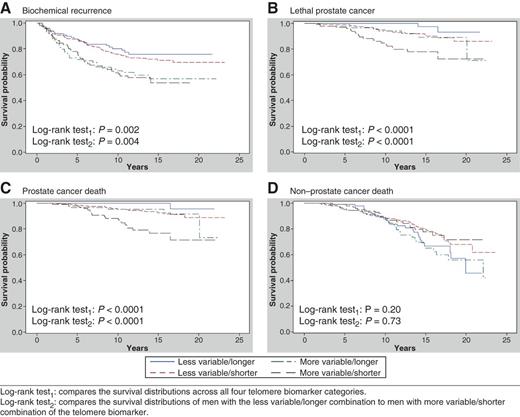 Figure 2. Prostate cancer outcome-specific survival and non–prostate cancer survival by the telomere biomarker combination of more variability in telomere length among prostate cancer cells and shorter telomeres in prostate CAS cells, HPFS. A, with respect to biochemical recurrence, men with the more variable/shorter and more variable/longer combinations had similarly higher risk over time, men with the less variable/longer combination had the lowest risk, and men with the less variable/shorter combination had an intermediate risk. B and C, with respect to lethal prostate cancer and death from prostate cancer, men with the more variable/shorter combination were the most likely to experience these outcomes over time, whereas the men with the less variable/longer combination were the least likely to experience these outcomes, and men with the other two combinations had intermediate risk. D, with respect to non–prostate cancer death, the telomere biomarker was not associated with risk, supporting the specificity of the biomarker for prostate cancer outcomes.