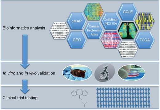 Figure 1. An integrated approach to drug repositioning. Publicly available datasets for initial computational screens include the Connectivity Map (cMAP), GEO, the Cancer Proteome Atlas, CellMiner, the Cell Line Encyclopedia (CCLE), and The Cancer Genome Atlas (TCGA). NCI, National Cancer Institute.