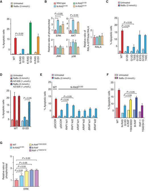 Figure 2. Mutant N-RAS signals through RAF-1 to confer resistance to apoptosis induced by sodium butyrate. A, apoptotic phenotypes of colon cancer cell lines with mutant forms of RAS. Cells expressing WT RAS or H-RASG12V were sensitive to induction of apoptosis by sodium butyrate (NaBu, 3 mmol/L for 24 hours). Retroviral expression of N-RASG12D conferred resistance, whereas endogenous K-RASG13D conferred hypersensitivity. It should be noted that codon 13 mutations in RAS have been shown to elicit attenuated transforming activity when compared with codon 12 mutations. B, canonical effector pathway signaling in cells expressing mutant RAS. Quantitative Western blotting revealed that mutant K-RAS, N-RAS, and H-RAS activated ERK, whereas only N-RAS and H-RAS activated AKT. For ERK, AKT, JNK, and p38, activation was measured as the ratio of phospho to total protein. For RALA, activation was measured as the ratio of GTP-bound protein to total protein. C, apoptotic phenotypes of colon cancer cell lines that express N-RASG12D secondarily mutated within the effector-binding domain. Like N-RASG12D, N-RASG12D/T35S conferred resistance to butyrate-induced apoptosis. D, requirement of RAF for the antiapoptotic phenotype of N-RASG12D. Treatment of WT cells with AZ-628 did not affect the response to butyrate, but inhibition of RAF in cells expressing N-RASG12D reverted the antiapoptotic phenotype. E, effect of RAF knockdown on N-RASG12D function. Cells expressing N-RASG12D required RAF-1, but not A-RAF or B-RAF, to fully suppress butyrate-induced apoptosis. F, apoptotic phenotypes of colon cancer cell lines that express mutant forms of RAF. RAF-1Y340/341D fully phenocopied N-RASG12D. Mutationally activated A-RAFY304/305D and WT B-RAF (which has high endogenous kinase activity due to aspartic acid substitutions at the analogous positions) did not suppress butyrate-induced apoptosis. G, ERK activation by mutant RAF. A-RAF, B-RAF, and RAF-1 all activated ERK to the same extent. ERK activation was measured by quantitative Western blotting. In all panels, error bars ± SEM.