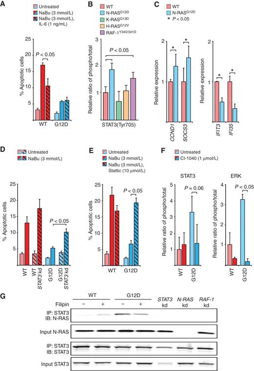 Figure 3. Mutant N-RAS signals through STAT3 to confer resistance to apoptosis induced by sodium butyrate. A, effect of exogenous IL-6 on butyrate-induced apoptosis. IL-6 significantly suppressed apoptosis in WT cells, but failed to do so in cells expressing N-RASG12D. B, activation of STAT3 by mutant N-RAS and RAF-1. Expression of N-RASG12D or RAF-1Y340/341D led to hyperphosphorylation of STAT3 at a positive regulatory site, Tyr705. STAT3 activation was determined by quantitative Western blotting. C, expression of STAT3 target genes. Two genes known to be upregulated by activated STAT3, CCND1 and SOCS3, were also upregulated in cells expressing N-RASG12D. Two genes known to be downregulated by activated STAT3, IFIT3 and IFI35, were also downregulated in cells expressing N-RASG12D. D, effect of STAT3 knockdown on N-RASG12D antiapoptotic function. Cells expressing N-RASG12D required STAT3 to fully suppress butyrate-induced apoptosis. E, effect of STAT3 inhibition on N-RASG12D antiapoptotic function. Treatment of WT cells with Stattic, a small-molecule STAT3 inhibitor, did not significantly affect the response to butyrate. Inhibition of STAT3 in cells expressing N-RASG12D reverted the antiapoptotic phenotype. F, effect of MEK inhibition on STAT3 activation. Treatment with CI-1040 decreased STAT3 phosphorylation on Tyr705 (P = 0.06, Wilcoxon rank-sum test). The phosphorylation of ERK was measured as a control for the activity of the MEK inhibitor. G, N-RAS interacts with STAT3. α-STAT3 antibody was able to immunoprecipitate both STAT3 and N-RAS in cells expressing N-RASG12D. This complex was dependent upon the presence of STAT3, N-RAS, and RAF-1. Transient exposure to filipin negatively affected complex formation. In this experiment, to control for the overall amount of N-RAS expressed in cells, “WT” denotes cells that ectopically overexpress WT N-RAS. In A–F, error bars ± SEM.