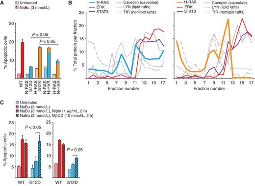 Figure 4. N-RAS signals from a distinct membrane compartment to suppress apoptosis. A, effects of HVR replacement on apoptotic phenotypes of colorectal cancer cell lines with mutant forms of RAS. Replacing the N-RAS HVR with that of H-RAS (H-HVR) conferred sensitivity to induction of apoptosis by sodium butyrate. Conversely, replacing the H-RAS HVR with that of N-RAS (N-HVR) conferred resistance to apoptosis. B, biochemical fractionation of plasma membranes. Mutant N-RAS was found primarily in fractions 11–17, whereas mutant H-RAS was found primarily in fractions 8–12. ERK and STAT3, like N-RAS, were enriched in later fractions. The composition of specific fractions was confirmed by positivity for caveolin, LYN, and/or transferrin receptor (TfR). C, N-RAS function requires cholesterol-rich microdomains. Transient treatment with filipin (1 μg/mL for 2 hours) or MβCD (10 mmol/L for 2 hours) abrogated the antiapoptotic phenotype of mutant N-RAS, but did not affect the response of WT cells to sodium butyrate. In A and C, error bars ± SEM.