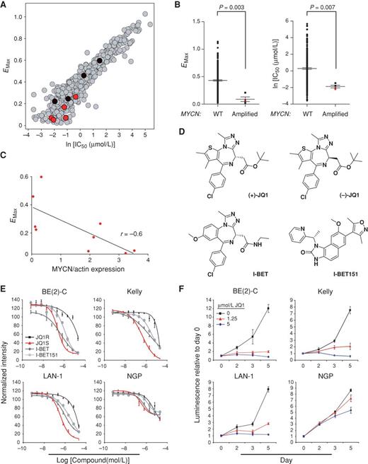 Figure 1. MYCN-amplified neuroblastoma is sensitive to the effects of BET bromodomain inhibition. A, antiproliferative activity of JQ1 was profiled in more than 650 cancer cell lines, revealing a broad range of sensitivity and resistance. Red dots are neuroblastoma cell lines with MYCN amplification based on SNP 6.0 arrays and/or high levels of protein expression. Black dots indicate neuroblastoma cell lines wild-type (WT) for MYCN and poor MYCN expression. Drug response is presented as ln(IC50), plotted against the maximum effect corresponding to the minimum measured viability (Emax). B, distribution of Emax and ln(IC50) for MYCN–wild type versus MYCN-amplified cancer cell lines based on SNP 6.0 copy number analysis. P value was calculated using nonparametric Mann–Whitney test. Red squares indicate MYCN-amplified neuroblastoma cell lines. C, Spearman correlation between minimum measured viability (Emax), and the expression level of MYCN was normalized by actin level (ratio of MYCN/actin). D, structures of BET bromodomain inhibitors. (+)-JQ1, I-BET, and I-BET151 are all active and structurally distinct, BET bromodomain inhibitors. JQ1R is the inactive (−)-JQ1 enantiomer. E, Dose response of neuroblastoma cell line viability with BET bromodomain inhibitor treatment was measured by a luminescent ATP detection assay. Data represent mean ± SEM of 4 biologic replicates. F, 4 MYCN-amplified neuroblastoma cell lines were used to determine the effects of JQ1 on growth. Values over time are shown relative to the day 0 values, with error bars representing the mean ± SD of 8 replicates per condition.