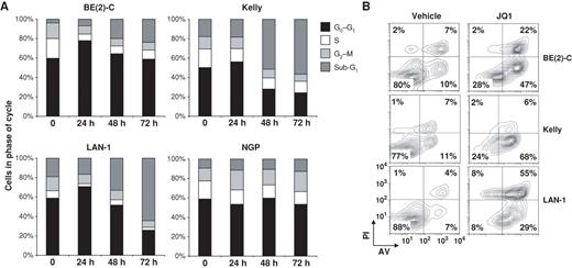 Figure 2. JQ1 treatment induces a G0–G1 arrest and apoptosis in neuroblastoma cell lines. Indicated neuroblastoma cell lines were treated with 1 μmol/L JQ1 for (A) 24, 48, and 72 hours before cell-cycle analysis or (B) 72 hours before measuring apoptosis by annexin V staining detected by flow cytometry.