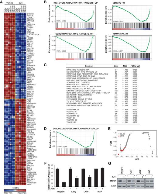 Figure 3. Inhibition of MYCN- and c-MYC–dependent transcription by JQ1 treatment of neuroblastoma cells. A, heatmap of the top 50 down- and upregulated genes following 24 hours of 1 μmol/L JQ1 treatment of neuroblastoma cell lines based on a signal-to-noise ratio (SNR) score and P < 0.05. Data are presented as row normalized. B, GSEA showing downregulation of MYCN- and c-MYC–dependent gene sets and representative sets of genes with proximal promoter regions containing MYCN- or MYC-MAX–binding sites in the transcriptional profiles of neuroblastoma cell lines treated with JQ1. Depicted is the plot of the running sum for the MSigDB gene set within the JQ1 neuroblastoma dataset, including the maximum enrichment score and the leading edge subset of enriched genes. C, table of selective gene sets enriched among genes downregulated by JQ1 in neuroblastoma cell lines based on GSEA (size, number of genes in each set; NES, normalized enrichment score). D, GSEA showing downregulation of a custom MYCN gene set derived from the comparison of MYCN-amplified versus MYCN-nonamplified primary neuroblastoma tumors. E, quantitative comparison of all transcription factor target gene sets available from the MSigDB by GSEA for downregulation in JQ1-treated neuroblastoma cells. Data are presented as a scatterplot of FDR versus NES for each evaluated gene set. Red indicates sets for either MYCN or c-MYC and gray for other transcription factors. F, neuroblastoma cell lines were treated with 1 μmol/L JQ1 or DMSO for 8 hours. After RNA extraction, level of MYCN transcript was quantified. Expression values are shown relative to the DMSO condition for each cell line. Error bars represent mean ± SD of 4 technical replicates. *, P < 0.001 calculated using a one-way ANOVA with Bonferroni correction comparing JQ1 treatment with DMSO within a cell line. G, Western blot analyses for MYCN on whole-cell extracts from 4 neuroblastoma cell lines treated with 1 μmol/L JQ1 or DMSO for 24 hours.