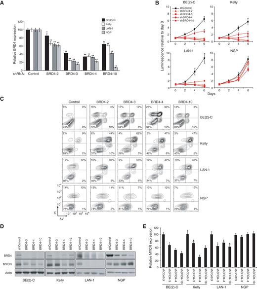 Figure 6. Effect of BRD4 downregulation on neuroblastoma cell lines. A–E, the 3 most JQ1-sensitive neuroblastoma cell lines were transduced with shRNAs targeting BRD4 or a control shRNA. A, RNA was extracted at day 3 post transduction and BRD4 transcript level was quantified. Shown are the expression values relative to the shRNA control–transduced cells. Error bars represent mean ± SD of 4 technical replicates. *, P < 0.05; **, P < 0.01, calculated using a one-way ANOVA, with Bonferroni correction. B, viability values over days post transduction are shown relative to the day 0 (time of seeding) values, with error bars representing the mean ± SD of 8 replicates per condition. C, apoptosis analysis was conducted on day 6 post transduction. D, Western blot analyses showing BRD4 and MYCN protein levels on day 4 post transduction with 3 BRD4-directed shRNAs. E, MYCN transcript levels were quantified 4 days after transduction. The expression values are relative to cells infected with a control shRNA. Error bars represent mean ± SD of 4 technical replicates. *, P < 0.001 calculated using a one-way ANOVA, with Bonferroni correction, comparing each BRD4-directed shRNA with the control shRNA within a cell line.