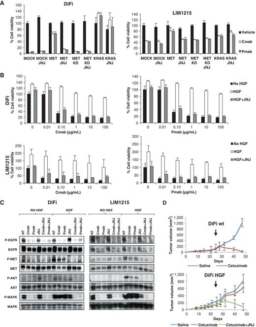 Figure 5. MET activation confers resistance to cetuximab (Cmab) or panitumumab (Pmab) in colon cancer cell lines in vitro and in vivo. A, DiFiand LIM1215 cell lines were transduced with the following lentiviral vectors: MOCK (empty vector), MET, MET KD (kinase dead), or KRAS, then seeded in 96-well plates and cultured 7 days in the presence of vehicle (NT), cetuximab (1 μg/mL) or panitumumab (1 μg/mL), with or without the MET inhibitor JNJ-38877605 (250 nmol/L). B, DiFi and LIM1215 cells were treated for 1 week with increasing concentrations of cetuximab or panitumumab, with or without 20 ng/mL of HGF or HGF plus the MET inhibitor JNJ-38877605 (250 nmol/L). C, DiFi and LIM1215 cells were pretreated 24 hours with cetuximab (1 μg/mL), panitumumab (1 μg/mL), or JNJ-38877605 (250 nmol/L), then stimulated for 15 minutes with HGF (80 ng/mL) in the presence of the indicated inhibitors. Whole-cell extracts were then subjected to Western blot analysis and probed with the indicated antibodies. D, wild-type (wt) DiFi cells or DiFi transduced with HGF were subcutaneously injected in NOD/SCID mice. Upon tumor growth, mice were randomized (7 mice/group) and received intratumoral injection of saline/cetuximab or intratumoral injection of cetuximab and oral administration of JNJ-38877605. Arrows indicate treatment start.
