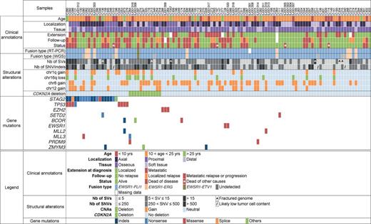 Figure 1. A comprehensive profile of the genetic abnormalities in Ewing sarcoma and associated clinical information. Key clinical characteristics are indicated, including primary site, type of tissue, and metastatic status at diagnosis, follow-up, and last news. Below is the consistency of detection of gene fusions by RT-PCR and whole-genome sequencing (WGS). The numbers of structural variants (SV) and single-nucleotide variants (SNV) as well as indels are reported in grayscale. The presence of the main copy-number changes, chr 1q gain, chr 16 loss, chr 8 gain, chr 12 gain, and interstitial CDKN2A deletion is indicated. Listed last are the most significant mutations and their types. See Supplementary Table S2 for the complete lists of SNVs/indels, SVs, and CNAs. For gene mutations, “others” refers to: duplication of exon 22 leading to frameshift (STAG2), deletion of exon 2 to 11 (BCOR), and deletion of exons 1 to 6 (ZMYM3).