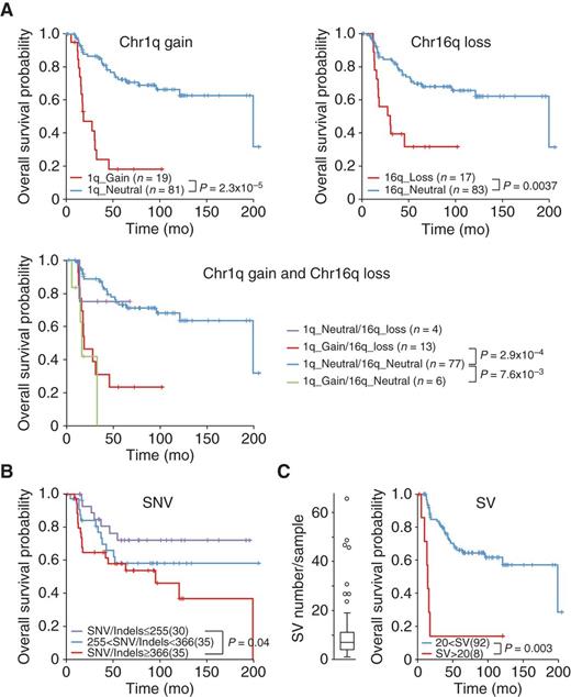 Figure 2. Prognostic significance of CNAs, SVs, and SNV/indels. Kaplan–Meier overall survival estimates according to (A) chr 1q gain, chr 16q loss; chr 1q gain and chr 16q loss and (B) number of SNVs/indels. Samples were stratified according to the number of genomic SNVs/indels and split into tertiles; C, a large number of SVs. The overall survival of patients whose tumors harbor an outlier number of SVs (boxplot distribution shown on the left) is compared with that of other patients. Patients with a fractured genome, low tumor purity, or death by causes other than Ewing sarcoma were excluded from the analysis.