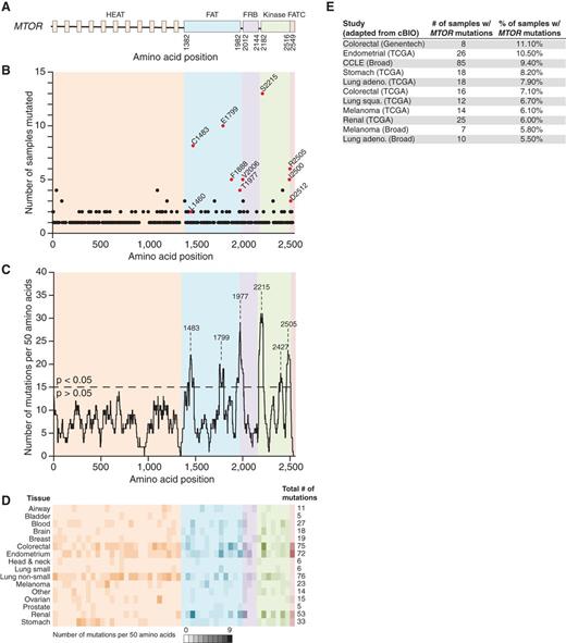 Figure 1. Cancer-associated MTOR mutations. A, the domain structure of mTOR is shown. B, the graph indicates the number of samples with MTOR mutations at the indicated amino acid positions. Red-colored samples were tested for pathway activation in Fig. 2. C, a density plot of the same MTOR mutations from B identifies six distinct mutational clusters with a P value of <0.05. D, the number of samples with MTOR mutations from a given tissue type varies across the length of the gene; the intensity of color reflects the number of samples from a given cancer subtype in that region. E, cancer sequencing studies with 5% or more of samples harboring MTOR point mutations are shown.