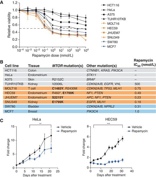 Figure 4. Rapamycin inhibits the proliferation of cancer cell lines with hyperactivating MTOR mutations. A, proliferation of multiple cancer cell lines with WT or mutant mTOR is differentially sensitive to rapamycin treatment. Cancer cell lines were seeded onto 96-well plates and treated with rapamycin 24 hours later, and cell viability was measured using CellTiter-Glo as described in Methods. Error bars, SD. B, the tissue of origin, MTOR mutational status, commonly mutated oncogenes/tumor suppressors, and rapamycin IC50 from A are shown for each cancer cell line. C, HEC59 cell xenografts are exquisitely sensitive to rapamycin treatment as compared with HeLa cell xenografts. Nine injections each of 3 × 106 HeLa or HEC59 cells were implanted subcutaneously into the flanks of 8-week-old nude mice. One week after injection, the mice were treated daily with vehicle or rapamycin, and tumor size was measured for an additional 3 weeks. Error bars, SEM; **, P < 0.05; ***, P < 0.01.