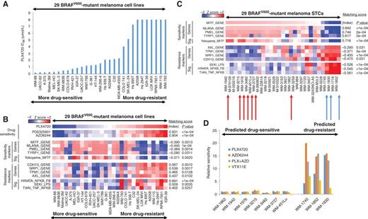 Figure 1. Association of expression classes with differential MAPK pathway inhibitor sensitivity in BRAFV600-mutant melanoma in vitro. A, sensitivity to PLX4720 (RAFi) across a collection of BRAFV600-mutant melanoma cell lines. B, relationship between PLX4720 sensitivity and MITF-high versus NF-κB–high classes. C, transcriptional class distinction in BRAFV600-mutant melanoma short-term cultures (STC). Red arrows identify cell lines predicted to be drug sensitive; blue arrows identify cell lines predicted to be drug resistant. D, relationship in short-term cultures between expression class and MAPK pathway inhibitor sensitivity. Graph shows GI50 values relative to median GI50 of the sensitive short-term cultures. PLX4720, RAFi; AZD6244, MEKi; VTX11E, ERK inhibitor (ERKi).