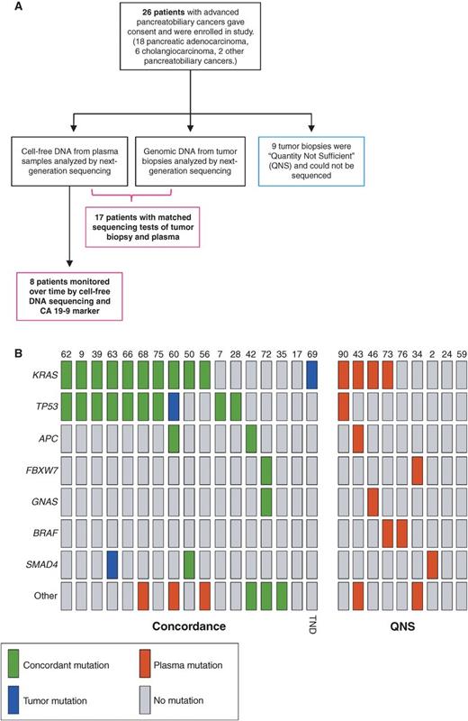 Figure 1. A, study design for measuring the feasibility, concordance, and accuracy of a plasma-based cfDNA sequencing test compared with biopsy-based sequencing tests for patients with pancreatic and biliary cancers [in accordance with Standards for the Reporting of Diagnostic accuracy studies (STARD)]. Sixteen patients had mutations detected by either type of test, and 1 patient had no mutations detected in either plasma or in tumor tissue (n = 17). B, Oncoprint chart showing mutation occurrence for the top seven genes across all patients. The group at left (“Concordance”) shows mutations detected in the 17 samples used for the concordance analysis (see Fig. 2B). The group at right (“QNS”) shows mutations detected in cfDNA from the eight QNS samples. TND, tumor DNA not detected in cfDNA.
