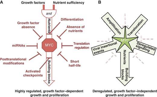 Figure 1. Schematic illustration of growth factor–dependent and growth factor–independent MYC activity. A, in noncancerous cells, growth signals and adequate nutrients are required for MYC activity. Multiple levels of feedback loops and checkpoints further control MYC activity. B, in cancerous cells, in contrast, checkpoint loss, gene amplification, chromosomal translocation, abnormal enhancer activation, or one or more other deregulated signaling events lead to growth factor–independent MYC metabolic activities and subsequent unconstrained cellular growth and proliferation.
