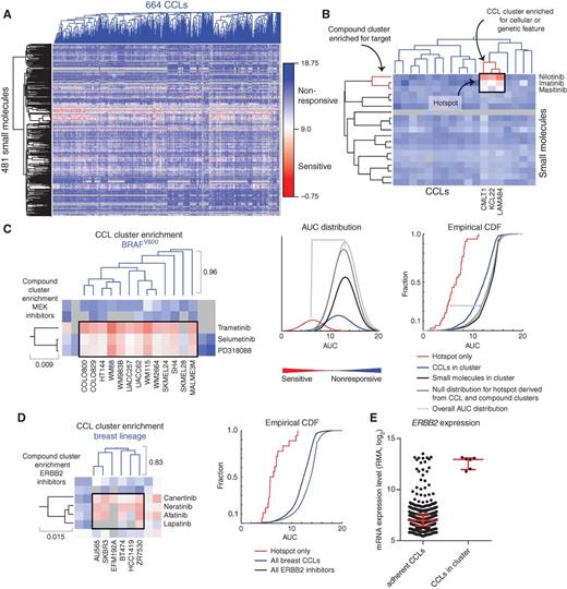 Figure 2. ACME analysis identifies hotspots that link genetic features of CCLs to patterns of small-molecule response. A, clustered AUC matrix for 481 small molecules and 664 adherent, genomically characterized CCLs, and the corresponding dendrograms (blue, CCLs; black, small molecules). Gray represents AUC values that were not measured or did not pass QC metrics. B, visualization of ACME analysis, which requires enrichment of small-molecule annotation, CCL annotation, and sensitivity of CCLs to the small molecules. Depicted are data for the association of sensitivity of chronic myeloid leukemia cell lines to treatment with inhibitors of ABL1. Both compound and CCL clusters (red) and the area of sensitivity in the AUC matrix (black) are depicted. C, hotspot and corresponding dendrograms for MEK inhibitors and BRAFV600 CCLs (left), including AUCs corresponding to the intersection of the two clusters (black box). The distributions of the AUCs for compound clusters, as well as the null distributions, can be visualized either with a fitted density curve (middle; bin number selected to scale with the number of CCLs), or empirical cumulative distribution function (CDF) plot (right). Each dendrogram segment is marked with the corresponding maximum height. The purity of both the compound cluster and the CCL cluster is 1. D, association of CCLs from the breast lineage with response to ERBB2 inhibitors. Visualization of the hotspot (black box) in the AUC matrix with the corresponding dendrograms (left), and the corresponding empirical CDF plot (right). The purity of both the compound cluster and the CCL cluster is 1. E, ERBB2 expression from CCLE for available adherent CCLs and the CCLs in the breast CCL-enriched cluster.