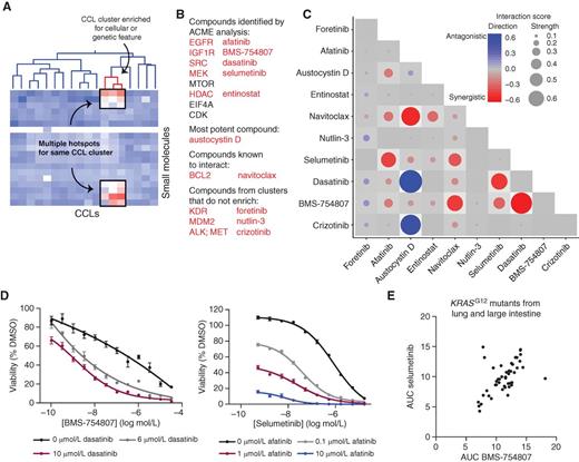 Figure 5. ACME analysis suggests vulnerabilities of a specific genetic context of KRAS-mutant CCLs to combination treatments. A, cartoon example of multiple hotspots for a single CCL cluster. B, the 10 compounds probed in the combination screen in LS513 cells and the rationale for their choice. Five were identified by ACME analysis. C, results from combination screen. Two biological and two technical replicates of the high-throughput screen were performed. The averages from the two biological replicates are shown. The synergy threshold is −0.17, and the antagonism threshold is +0.23. D, validation of the synergistic combinations identified. Two independent experiments were performed. The average of one experiment with 5 to 7 replicates is shown for each combination. E, AUC comparison of BMS-754807 and selumetinib in KRASG12-mutant CCLs in lung and large-intestine lineages.