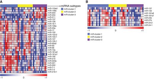Figure 1. miRNA expression subtypes in human PanNET and their similarity to mouse MLP PanNET. Heatmaps of human PanNET samples showing (A) three miRNA expression subtypes as defined using NMF and (B) the expression of previously identified RT2 mouse MLP-specific miRNAs (from Olson and colleagues; ref. 28) in the three human PanNET subtypes defined in A. In both cases, the columns represent individual human tumors. In A, the rows indicate 30 differentially expressed miRNAs from 40 samples. In the rainbow bar below the heatmap, red indicates elevated expression, blue decreased, and white no change. (Supplementary Table S1A also lists the miRNAs in the same order as the columns in part A.) The miRNAs shown in A and Supplementary Table S1A constitute a signature, designated as the “PanNETassigner-miR signature” (genes were selected using SAM analysis with a delta value, Δ = 1.3 and a false discovery rate, FDR < 0.05).