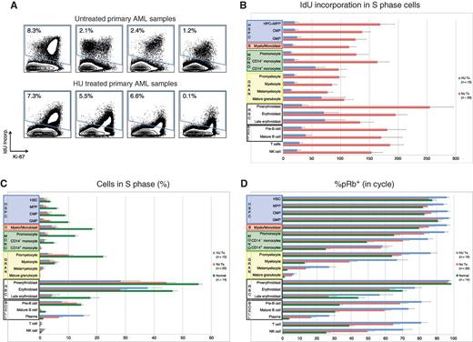Figure 7. In vivo response to HU was readily detectable and distinct from the response of leukemia cell lines in vitro. A, IdU incorporation and Ki-67 staining of representative untreated and HU-treated AML samples demonstrate that treatment leads to a reduction in IdU incorporation with minimal change in S-phase fraction. B, IdU incorporation is significantly decreased in the S-phase cells of all immunophenotypic populations in samples from patients being treated with IdU at the time of their bone marrow biopsy. (HSC and MPP populations were combined for this analysis given the low numbers of S-phase cells in these rare cell populations.) NK cell, natural killer cell. C, HU treatment does not significantly decrease S-phase fraction in most immunophenotypic populations. D, fraction of pRb+ cells does not decrease in response to HU treatment. Colored boxes group immunophenotypic populations: HSPC, hematopoietic stem and progenitor cells; B, blasts (immunophenotypic); Mono, monocyte lineage cells; Gran, granulocyte lineage; RBC, red blood cell lineage; B-Cell, B-cell lineage. Error bars, SEs.